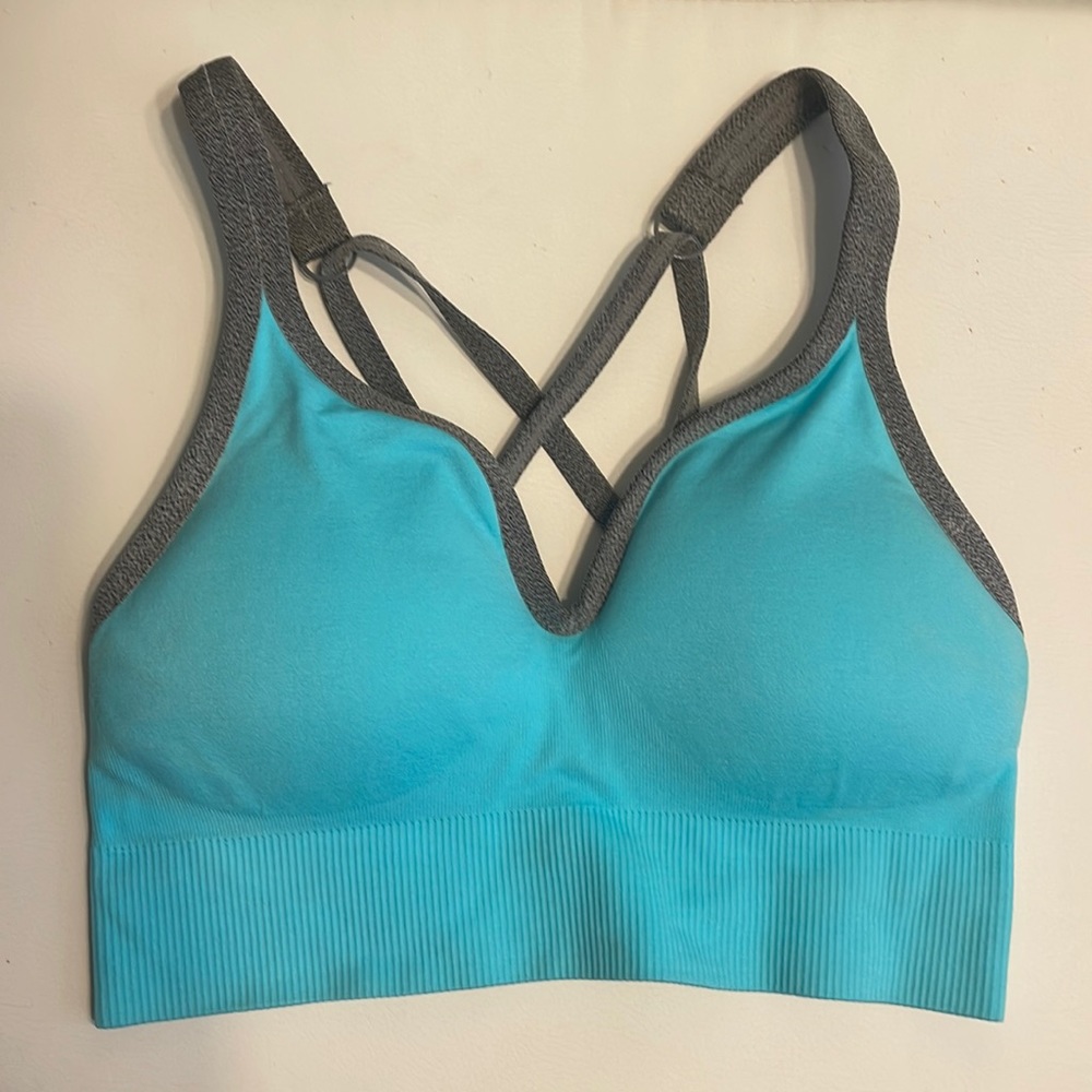 Blue and Gray Sports Bra